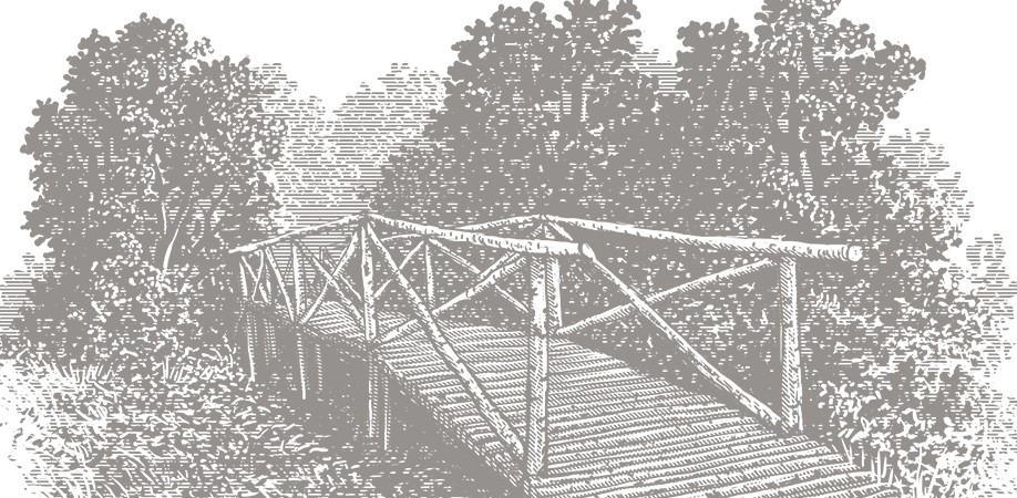 	Березовый мостик
